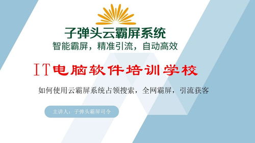 子彈頭云霸屏 信息技術(shù)咨詢(xún)服務(wù)如何助力電腦IT技術(shù)培訓(xùn)學(xué)校通過(guò)海量信息霸屏獲取生源咨詢(xún)